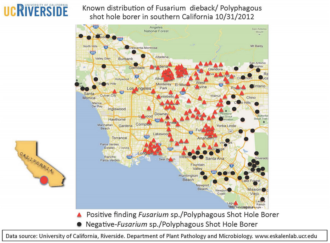 fusarium-distribution